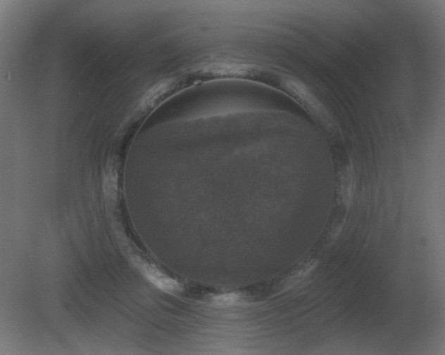 X0000081360309200701111528