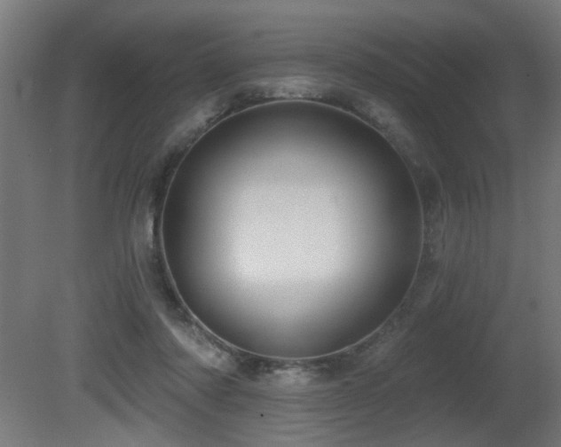 X0000081360310200701111528