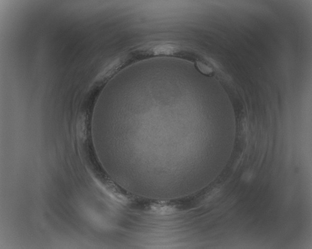 X0000081360311200701111528