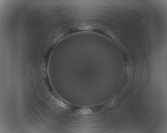 X0000081360322200701111528