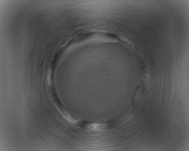 X0000081360323200701111528