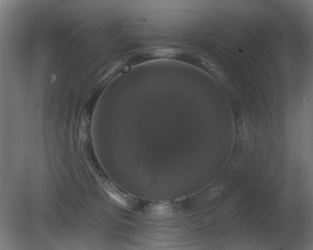 X0000081360325200701111528