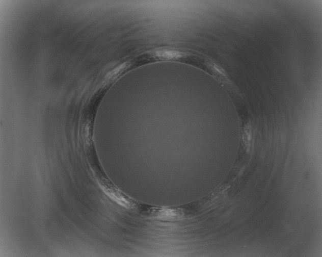 X0000081360330200701111528