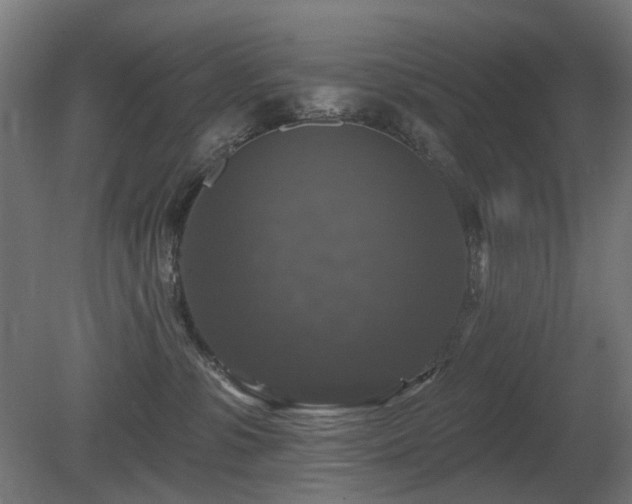 X0000081360331200701111528