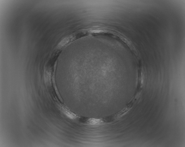 X0000081360333200701111528