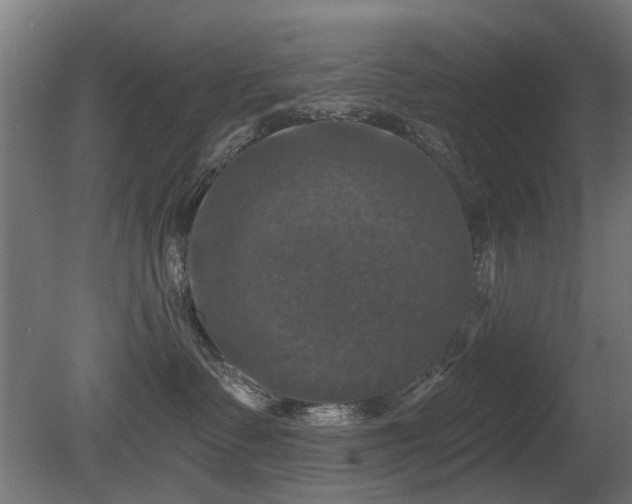 X0000081360335200701111528