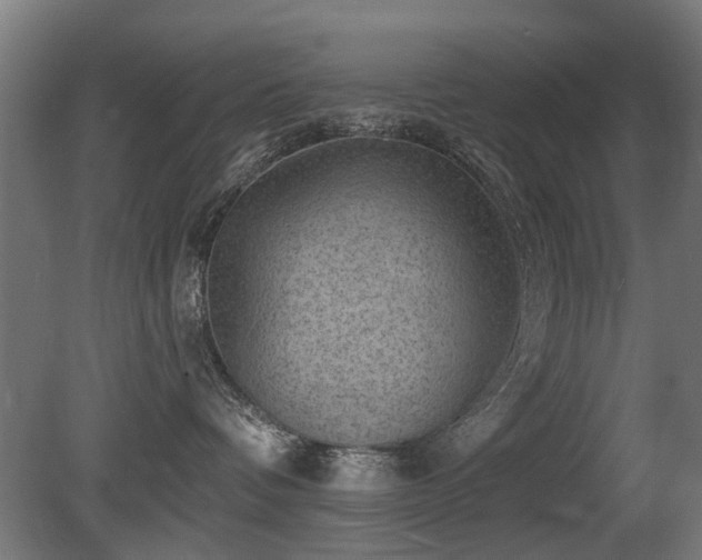 X0000081360336200701111528
