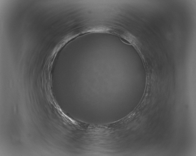 X0000081360337200701111527