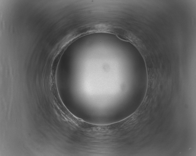 X0000081360338200701111527