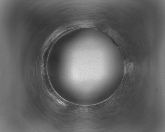X0000081360339200701111527