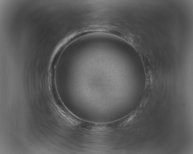 X0000081360342200701111527