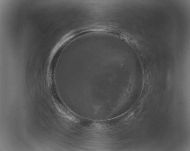 X0000081360343200701111527