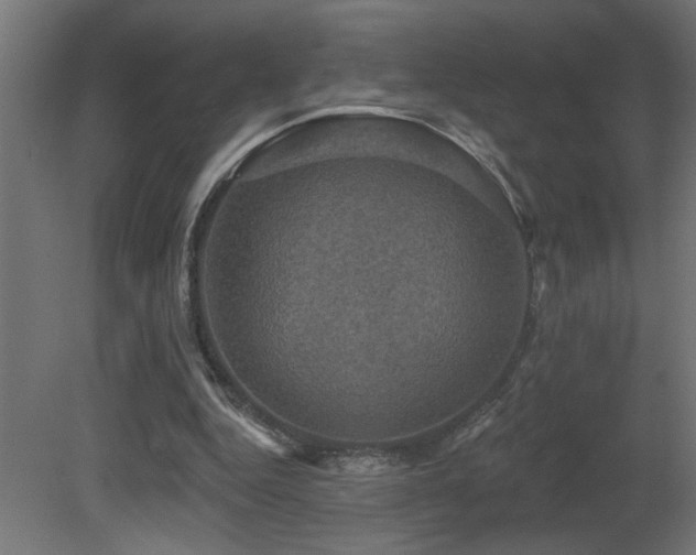 X0000081360344200701111527