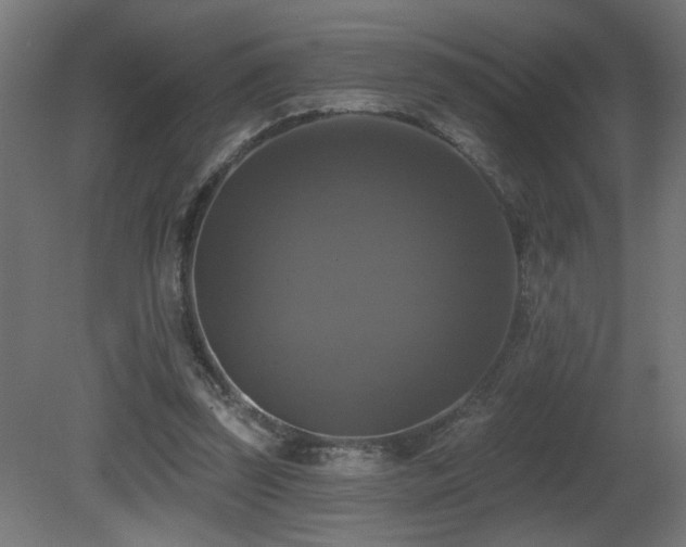 X0000081360347200701111527