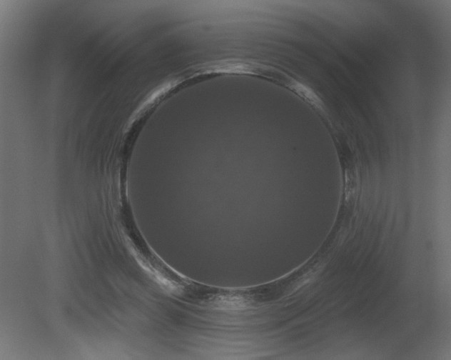 X0000081360349200701111527