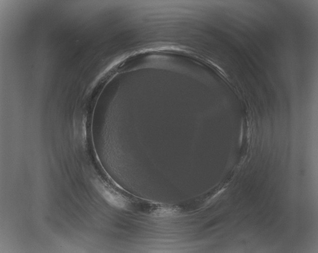 X0000081360350200701111527