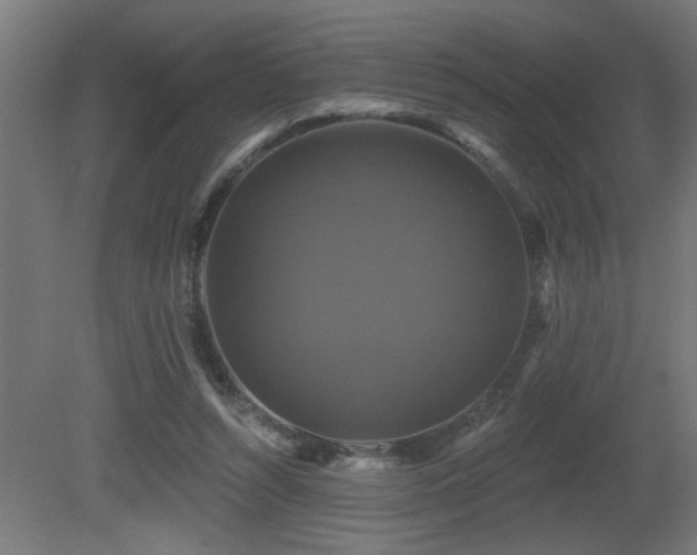 X0000081360352200701111527