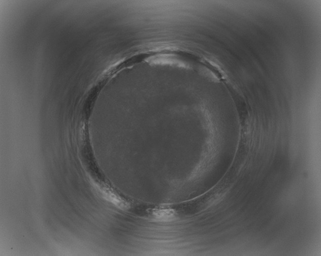 X0000081360355200701111527
