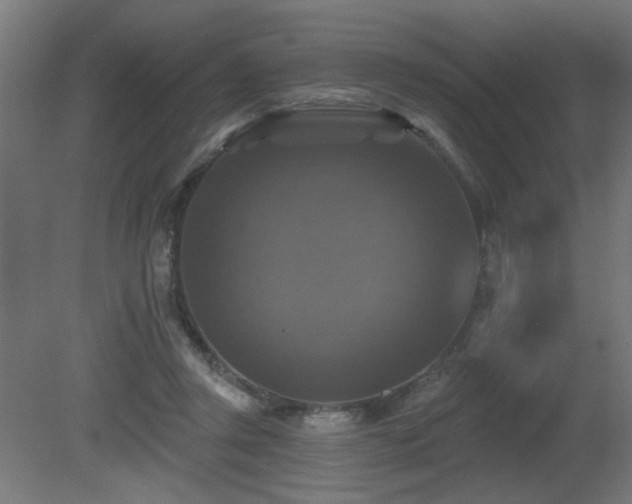 X0000081360357200701111527