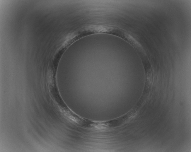 X0000081360359200701111527