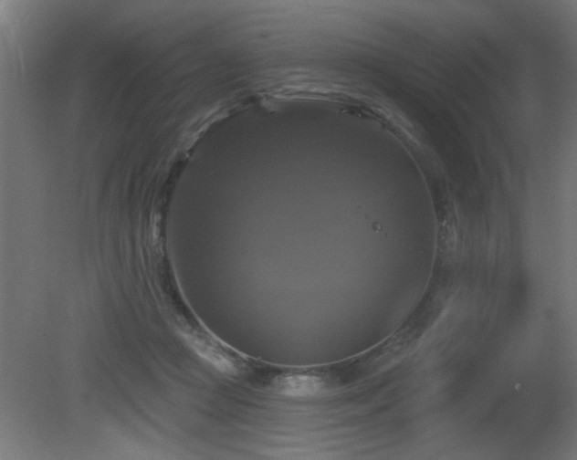 X0000081360361200701111528