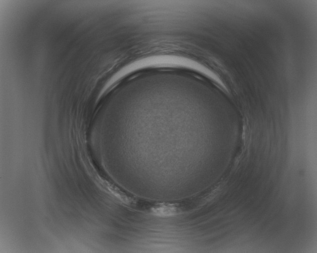 X0000081360362200701111528