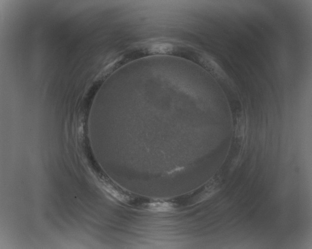 X0000081360363200701111528