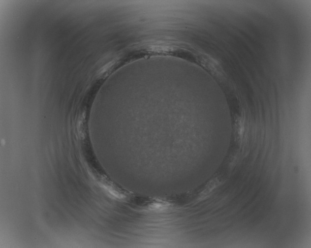 X0000081360364200701111528