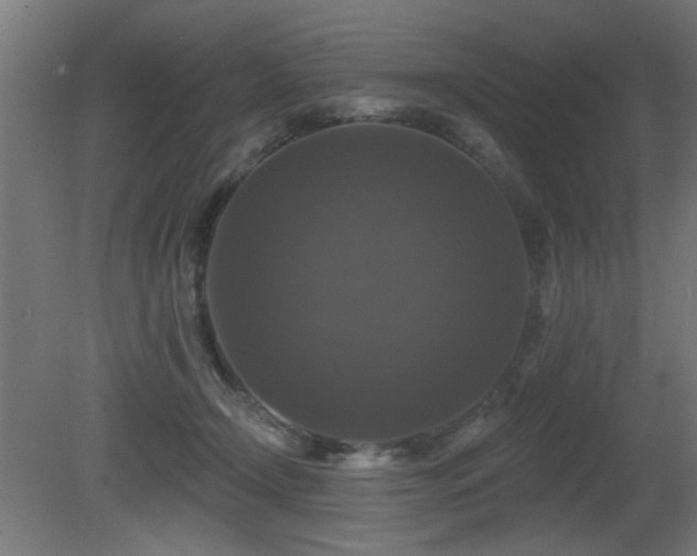 X0000081360366200701111528