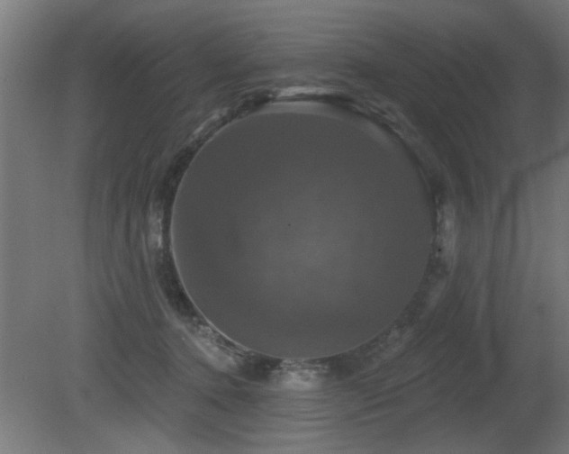 X0000081360368200701111528
