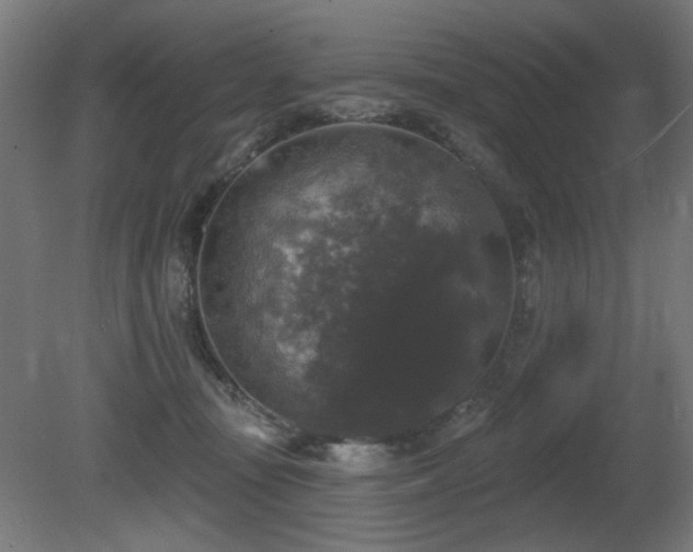 X0000081360371200701111528