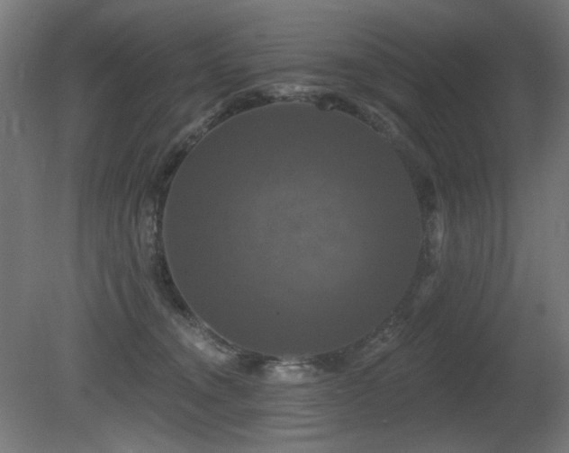 X0000081360372200701111528