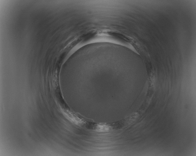 X0000081360376200701111528