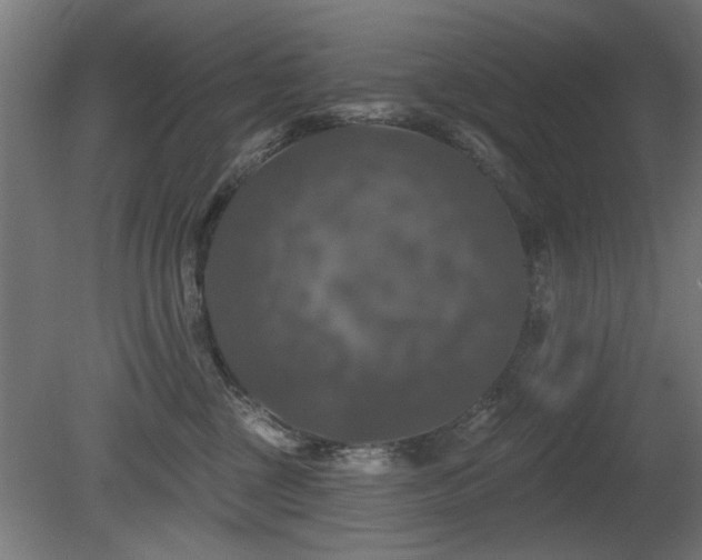X0000081360377200701111528
