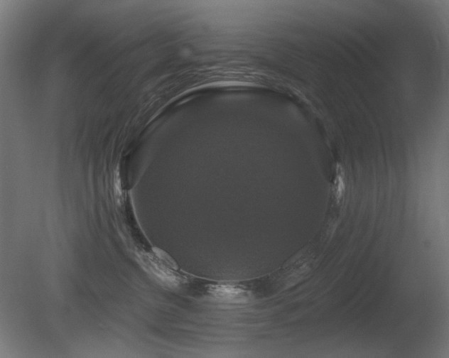 X0000081360380200701111528