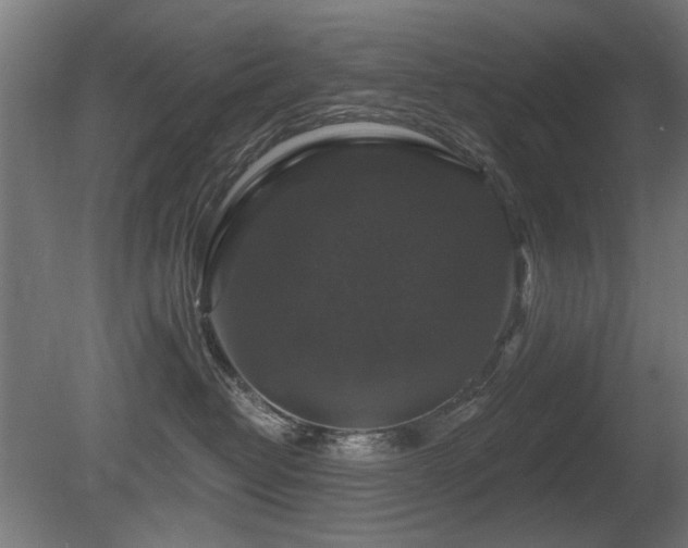 X0000081360382200701111528