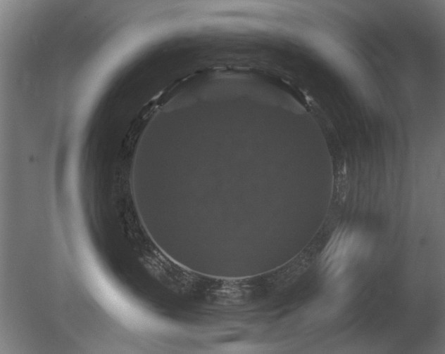 X0000081360383200701111528
