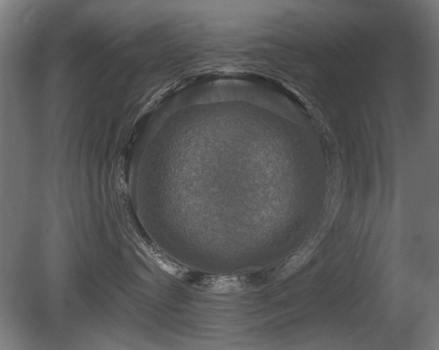 X0000081360384200701111528