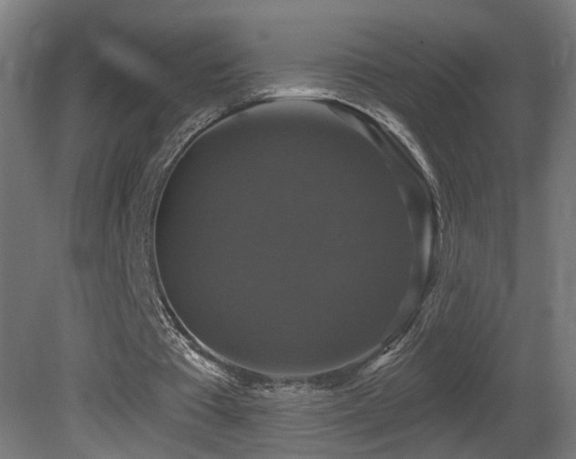 X0000081360385200701111527