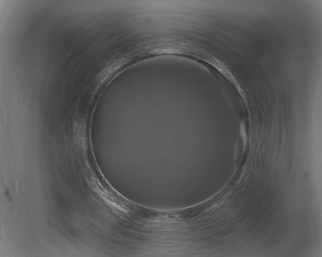 X0000081360386200701111527