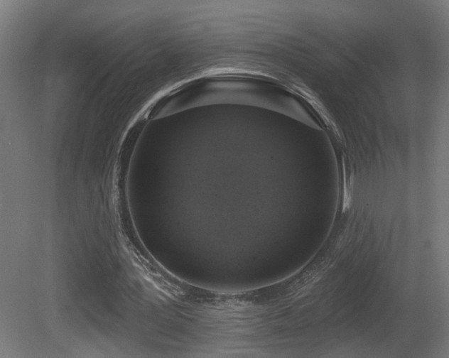 X0000081360387200701111527