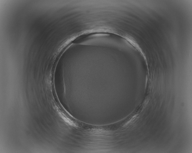 X0000081360389200701111527