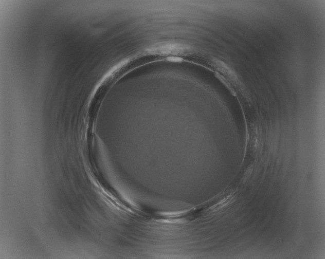 X0000081360392200701111527