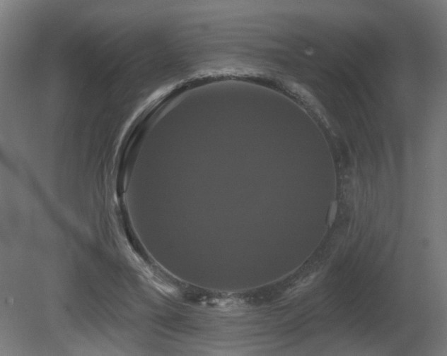X0000081360395200701111527