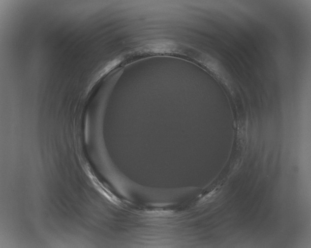 X0000081360397200701111527