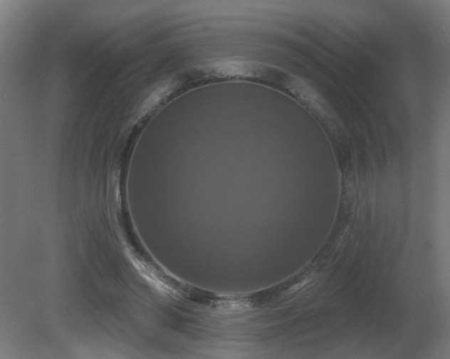 X0000081360398200701111527