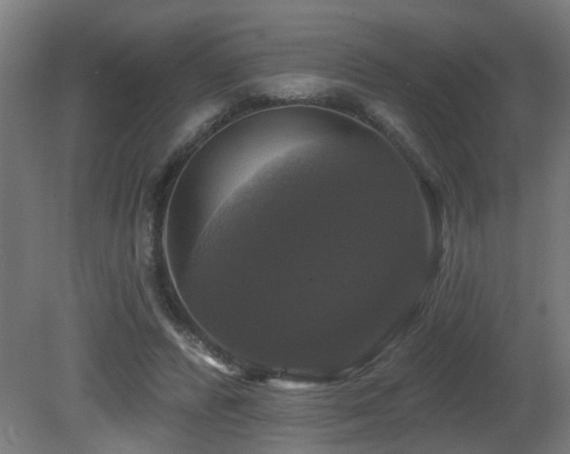 X0000081360400200701111527