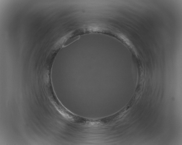 X0000081360401200701111527