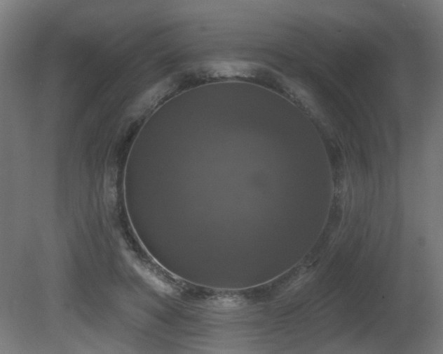 X0000081360402200701111527