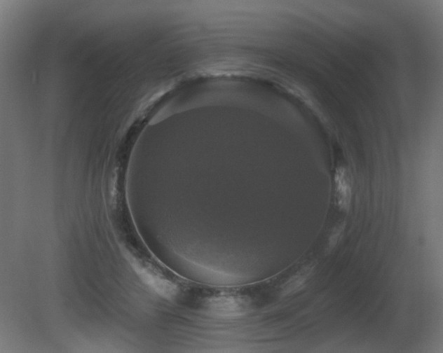 X0000081360404200701111527